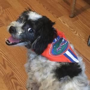 Meet your Posher, Illene